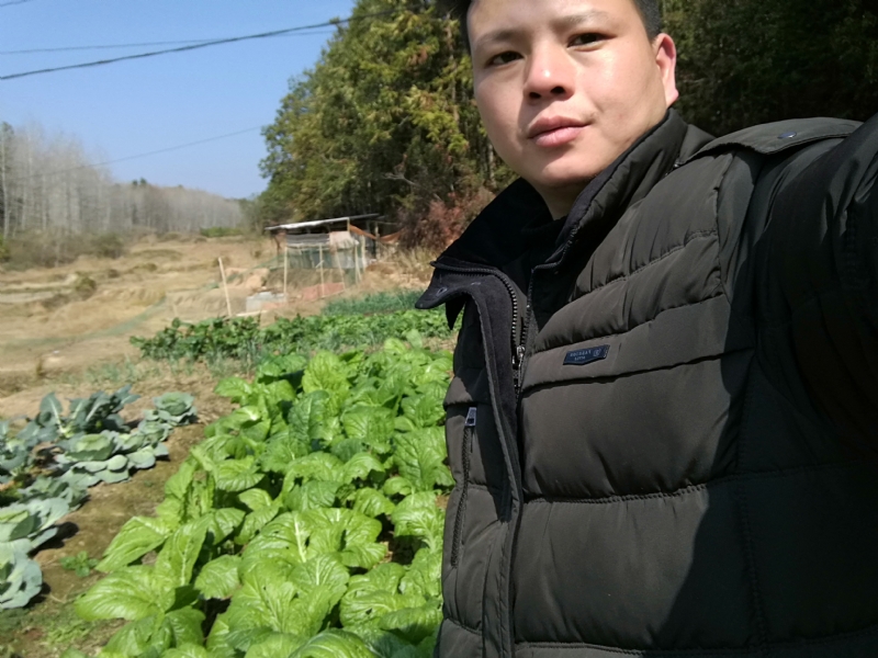 倔强的驴的第一张照片--江苏残疾人相亲网